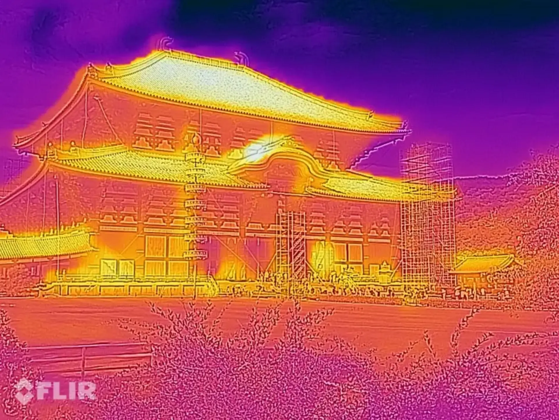 todaiji.jpg (644.1 kB)